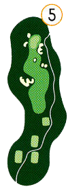 Hole 5 map