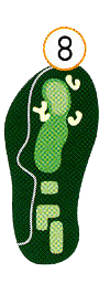 Hole 8 map