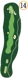 Hole 14 map